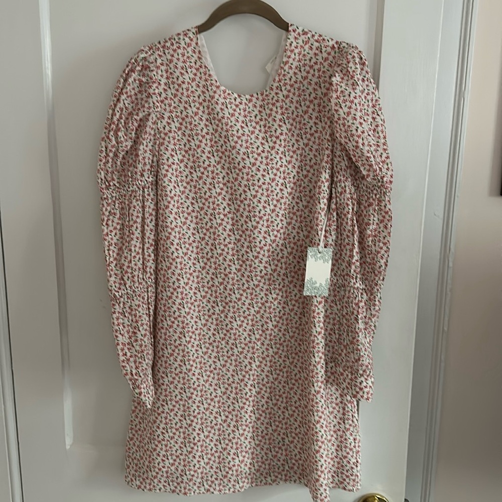 Tuckernuck dress new with tags